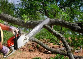 Best Lawn Drainage Solutions  in West Rancho Dominguez, CA